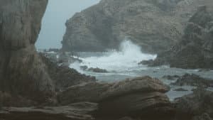 ΠΙΤΥΛΟΣ — foto 3