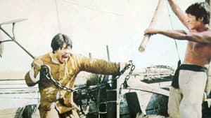 小霸王 — foto 10