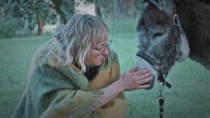 Donkey Days — foto 2