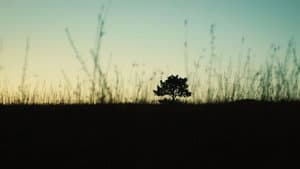 A Death Worth Living For — foto 1