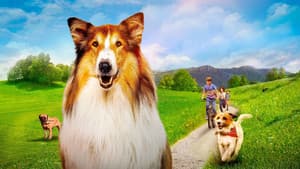 Lassie: Una nueva aventura — foto 2