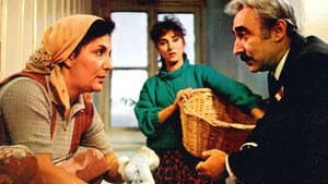 Milyarder — foto 5