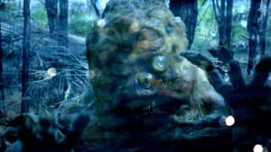 Pazucus: A Ilha do Desarrego — foto 3