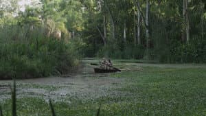 Los Decentes — foto 2