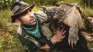 Coyote Peterson: Aventuras Salvajes — foto 2