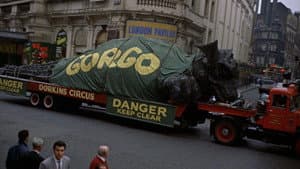 Gorgo — foto 5
