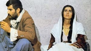 Sürü — foto 2