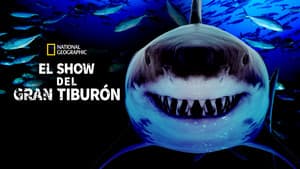 Great Shark Chow Down — foto 7