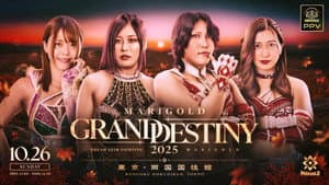 Marigold Grand Destiny 2025 — foto 1