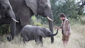 An Elephant's Journey — foto 5