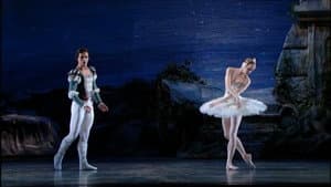 Swan Lake — foto 1