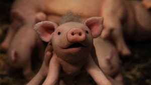 Oink Oink — foto 4