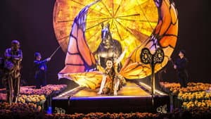 Cirque du Soleil: Luzia — foto 3