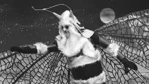 Doctor Who: The Web Planet — foto 4