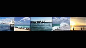 Miami In Movements — foto 4