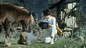 Episodio 9