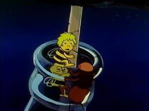 Episodio 35