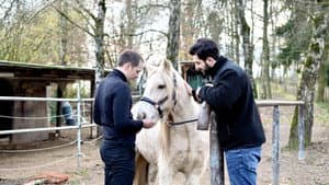 Wir werden unsterblich sein — foto 5