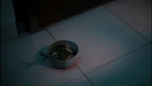 Sup Ayam — foto 1