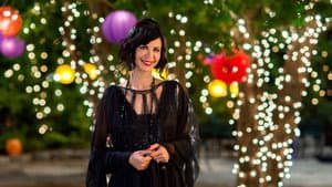 The Good Witch's Destiny — foto 1