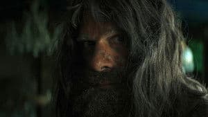 The Hermit — foto 4