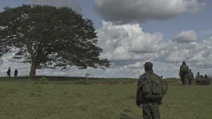 Horizonte — foto 5