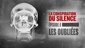 Episodio 8