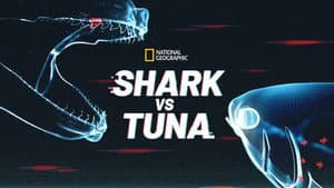 Shark vs. Tuna — foto 4