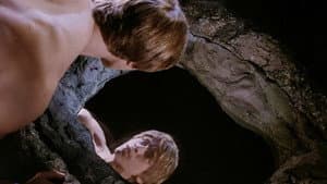 Narcissus — foto 1