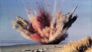 The Exploding Whale of Florence, Oregon — foto 1