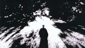 Imaginary Light — foto 1