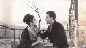 Senede Bir Gün — foto 8