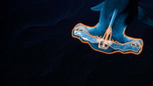 Mega Hammerhead — foto 6
