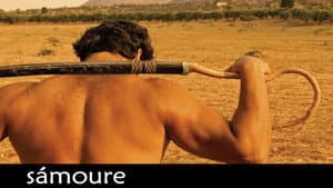Samoure — foto 1