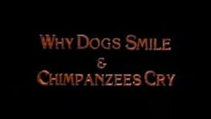 Why Dogs Smile and Chimpanzees Cry — foto 1