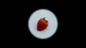 Maruška ou l'histoire d'une vraie fausse fraise en hiver — foto 1