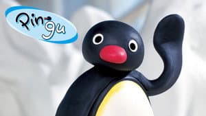 Pingu — foto 7