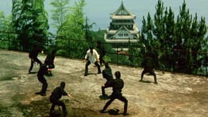 武闘拳　猛虎激殺！ — foto 1