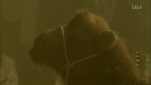 Episodio 86