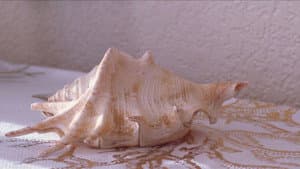 Heavy Shells — foto 5