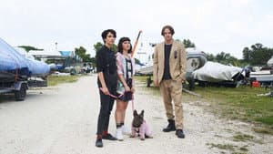 Il colpo del cane — foto 2