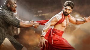 డీజే: దువ్వాడ జగన్నాథం — foto 10