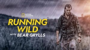 Bear Grylls is Running Wild — foto 2