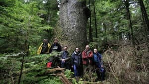 Musicwood — foto 1