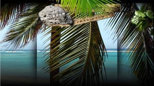 Expeditie Robinson — foto 1