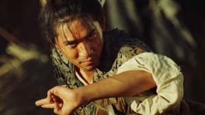 东邪西毒：终极版 — foto 1