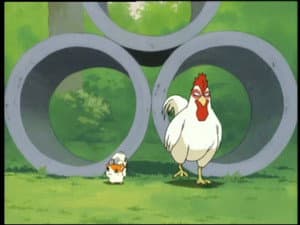 Atrapen a los gallos