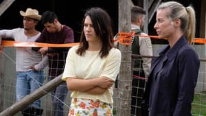 Episodio 7