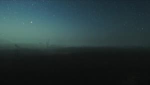 The Overview — foto 2