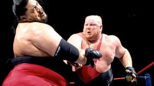 WWE Royal Rumble 1996 — foto 2